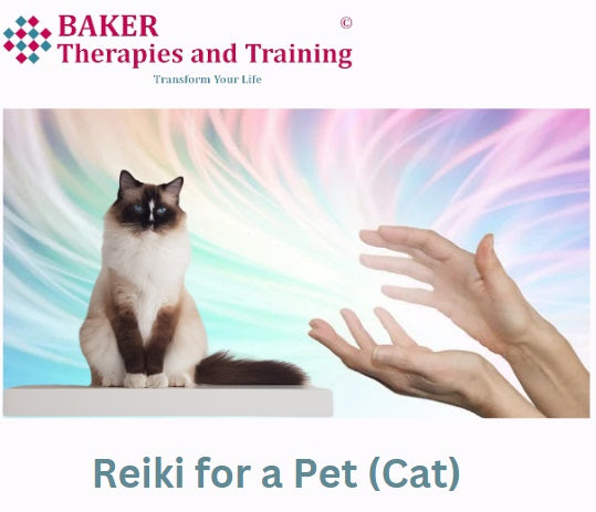 Reiki Distance Treatment for a Pet (Cat) (30 minutes)