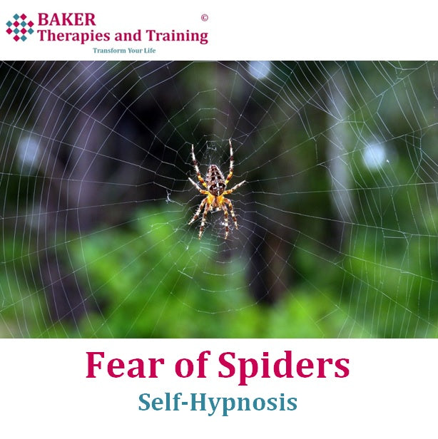 Fear of Spiders / Arachnophobia (Self-Hypnosis)